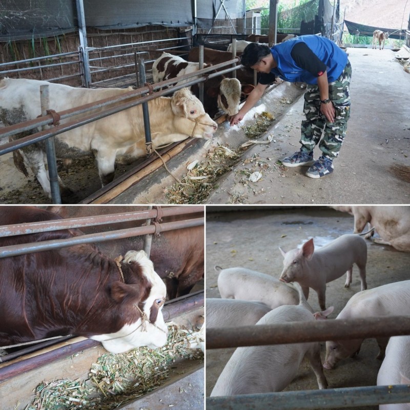 202110250943170252140310121606FD.jpg?nettype=in&needfile=1&hash=md5:3A:05:AB:39:DF:C5:8D:08:BF:9C:A8:F2:0E:36:0E:D8&size=191089&origurl=http%3A%2F%2F10.31.181.12%3A9080%2Fs%2F202110250943170252140310121606FD.jpg 稿定设计导出-20211025-094300.jpg