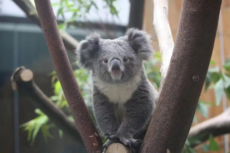 202208042335470252150100103532FD.jpg?nettype=in&needfile=1&hash=md5:41:FA:D2:AD:DF:B7:BF:B8:CF:4A:A0:85:1D:5D:F4:11&size=89754&origurl=http%3A%2F%2F10.41.141.70%3A9080%2Fs%2F202208042335470252150100103532FD.jpg 2022-08-04 120955(2).jpg